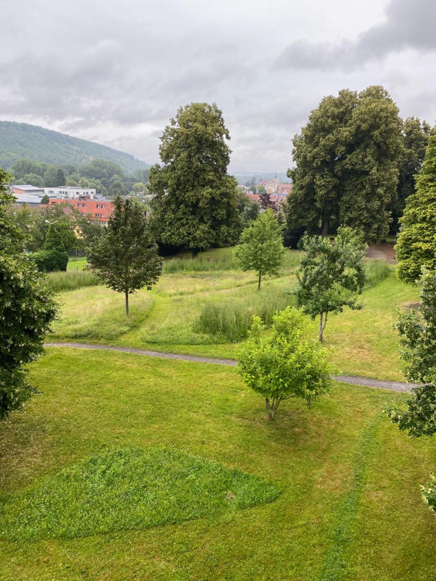 Einzimmer Apartment Niefern-Öschelbronn Exterior foto